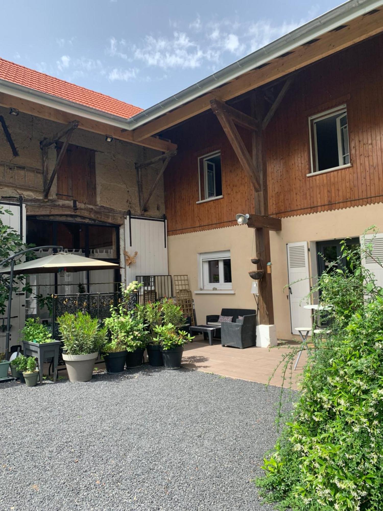 Dolomieux Cookie Home المظهر الخارجي الصورة
